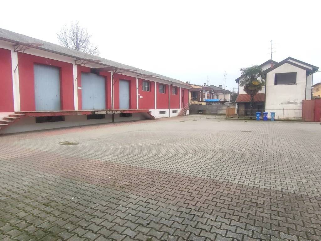 immagine annuncio 2 di 5