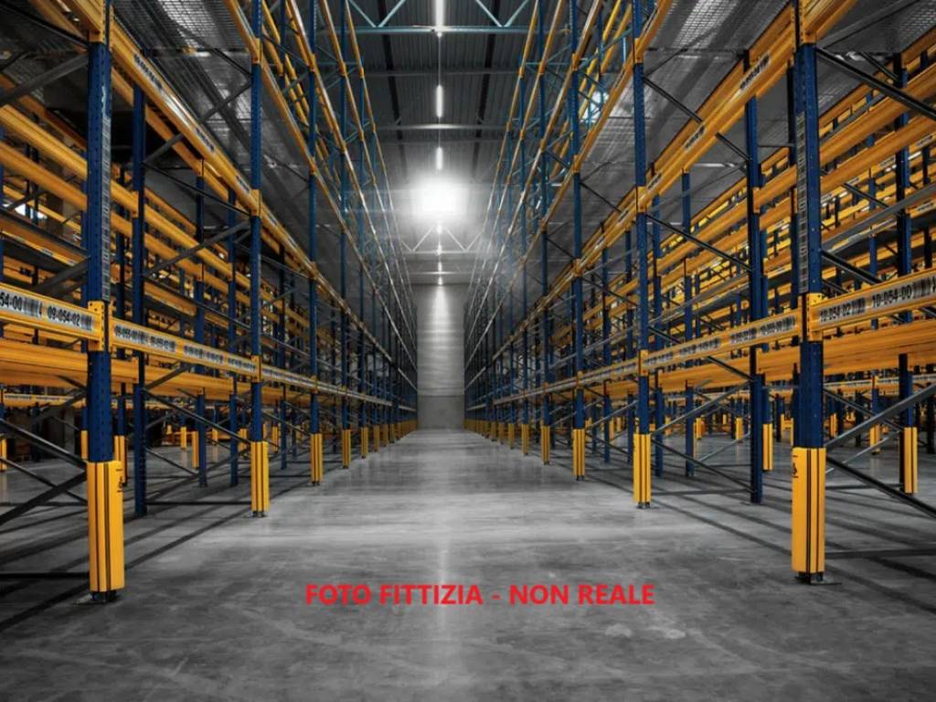 immagine annuncio 2 di 5