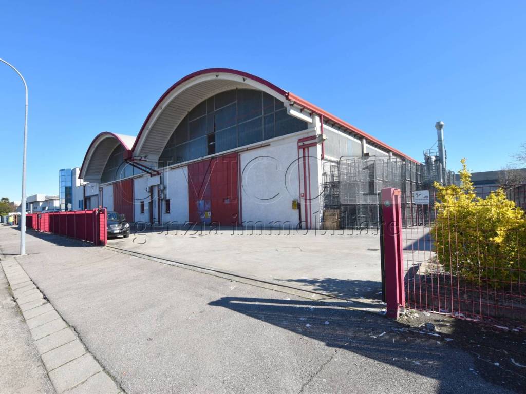 immagine annuncio 2 di 5