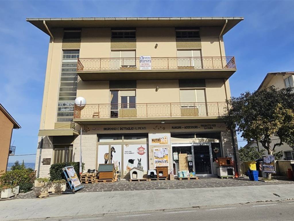 immagine annuncio 3 di 5