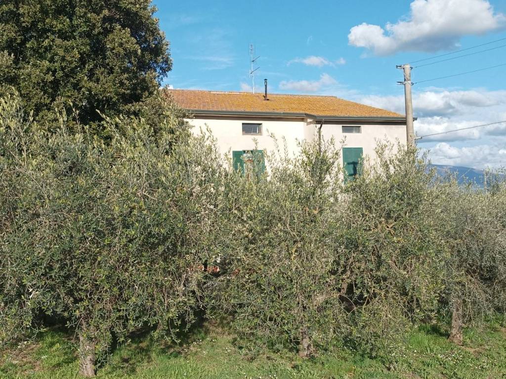 immagine annuncio 1 di 3