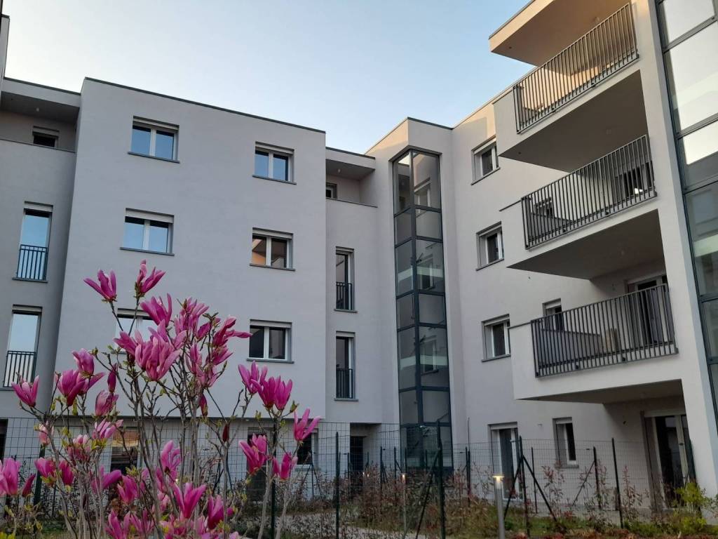 immagine annuncio 4 di 5