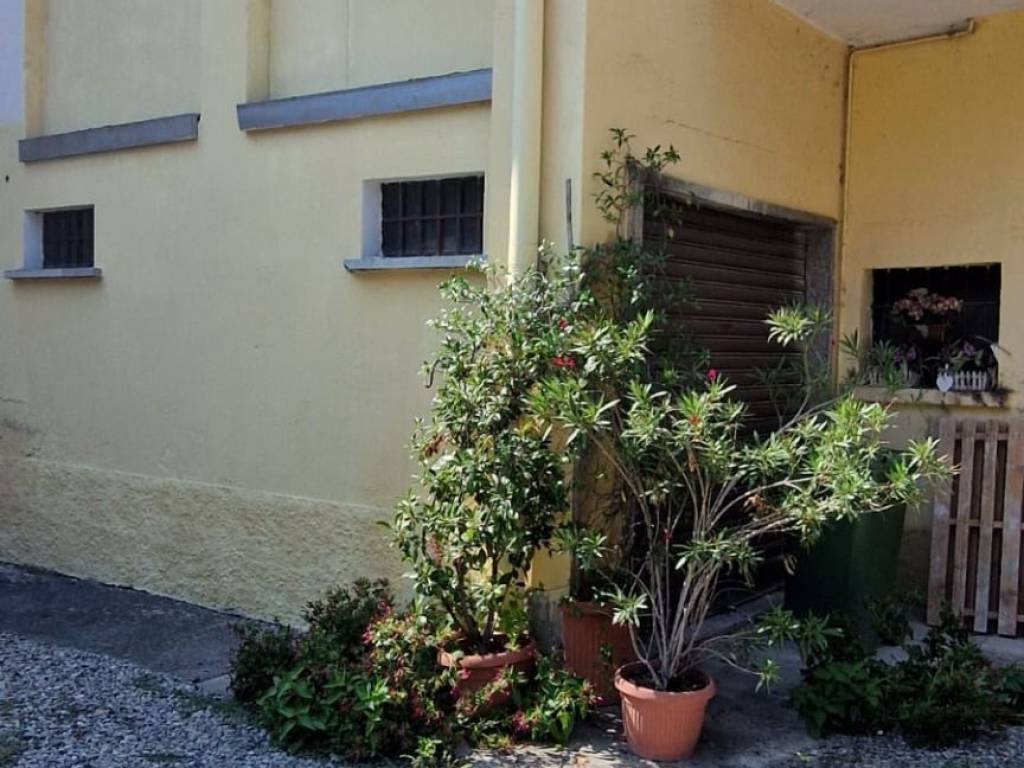 immagine annuncio 1 di 4