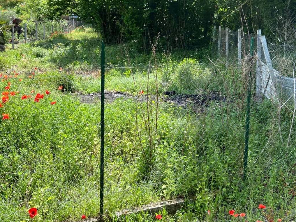 immagine annuncio 1 di 3