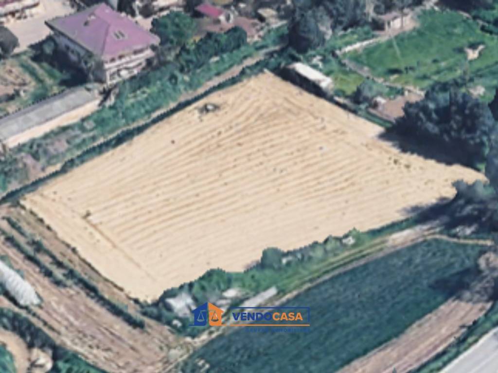 immagine annuncio 3 di 4