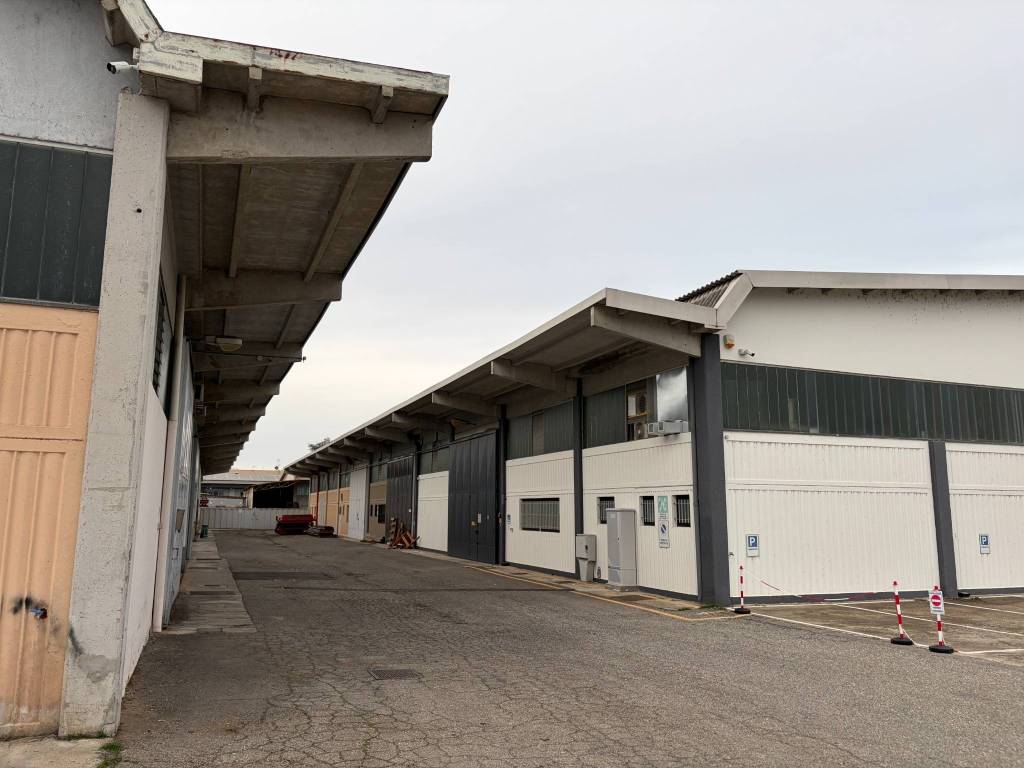 immagine annuncio 1 di 4