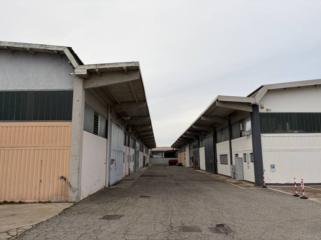 immagine annuncio 2 di 4