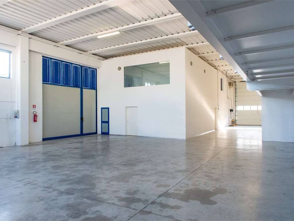 immagine annuncio 2 di 3