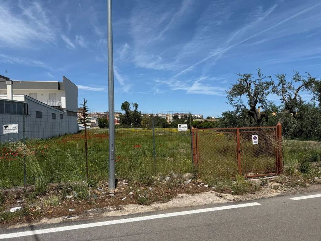 immagine annuncio 1 di 2