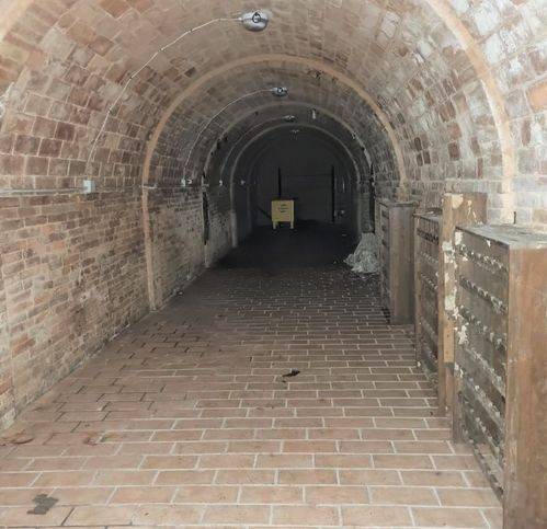 immagine annuncio 3 di 4