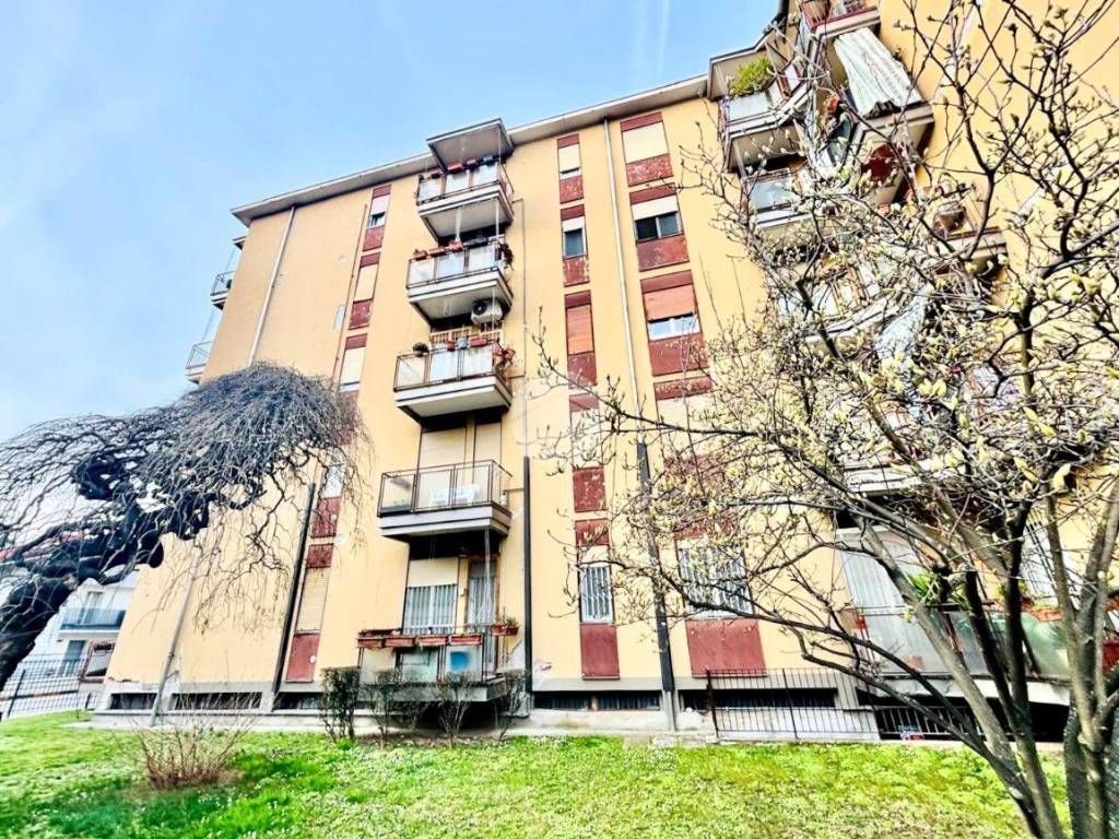 immagine annuncio 1 di 5