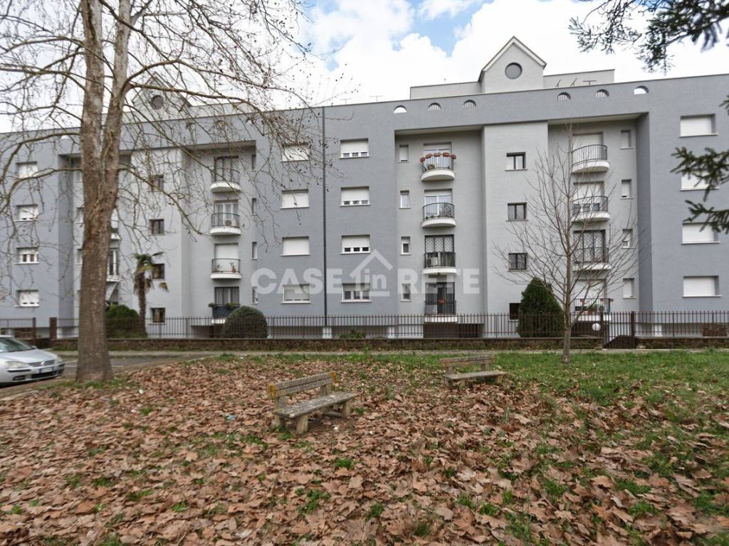 immagine annuncio 2 di 5