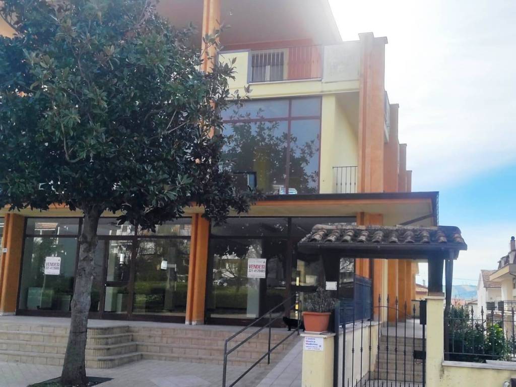 immagine annuncio 2 di 4