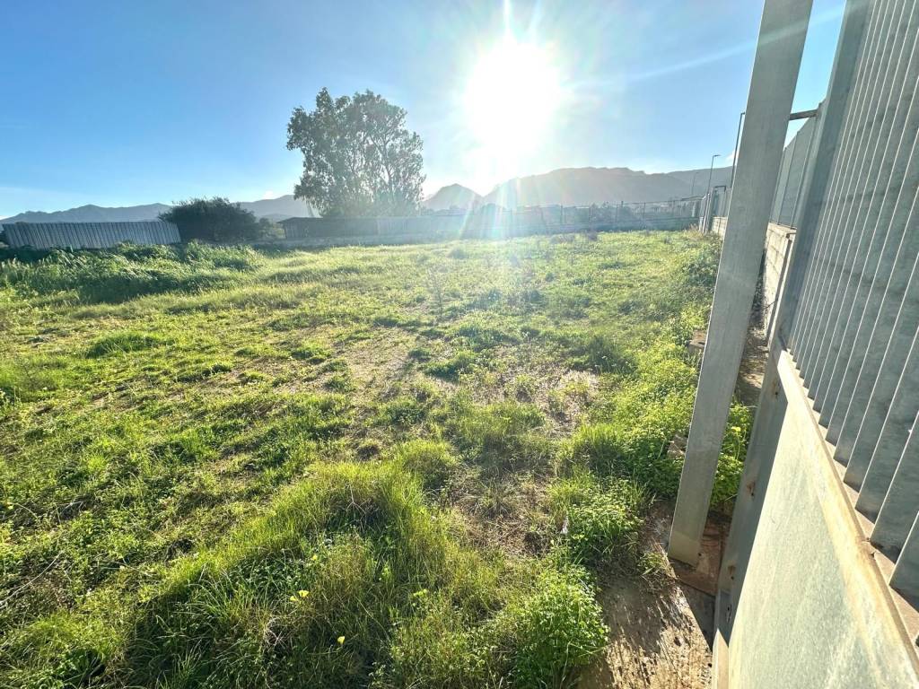 immagine annuncio 1 di 2