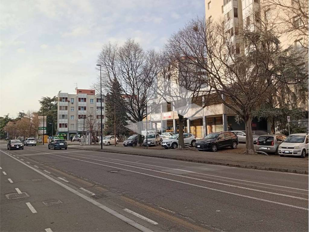 immagine annuncio 2 di 4