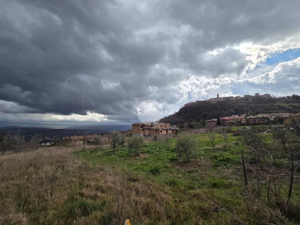 immagine annuncio 2 di 3