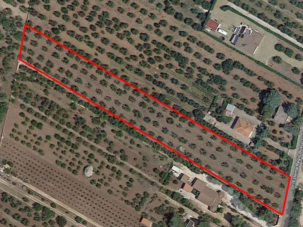 immagine annuncio 2 di 4