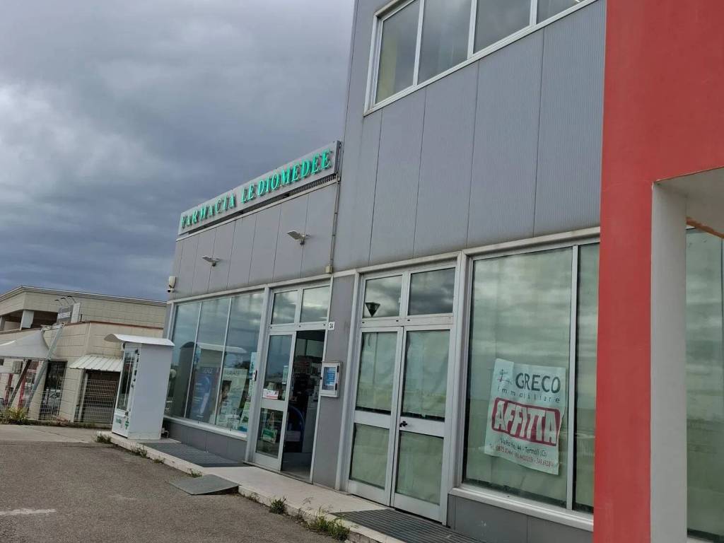 immagine annuncio 2 di 4