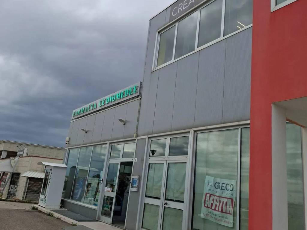 immagine annuncio 3 di 4