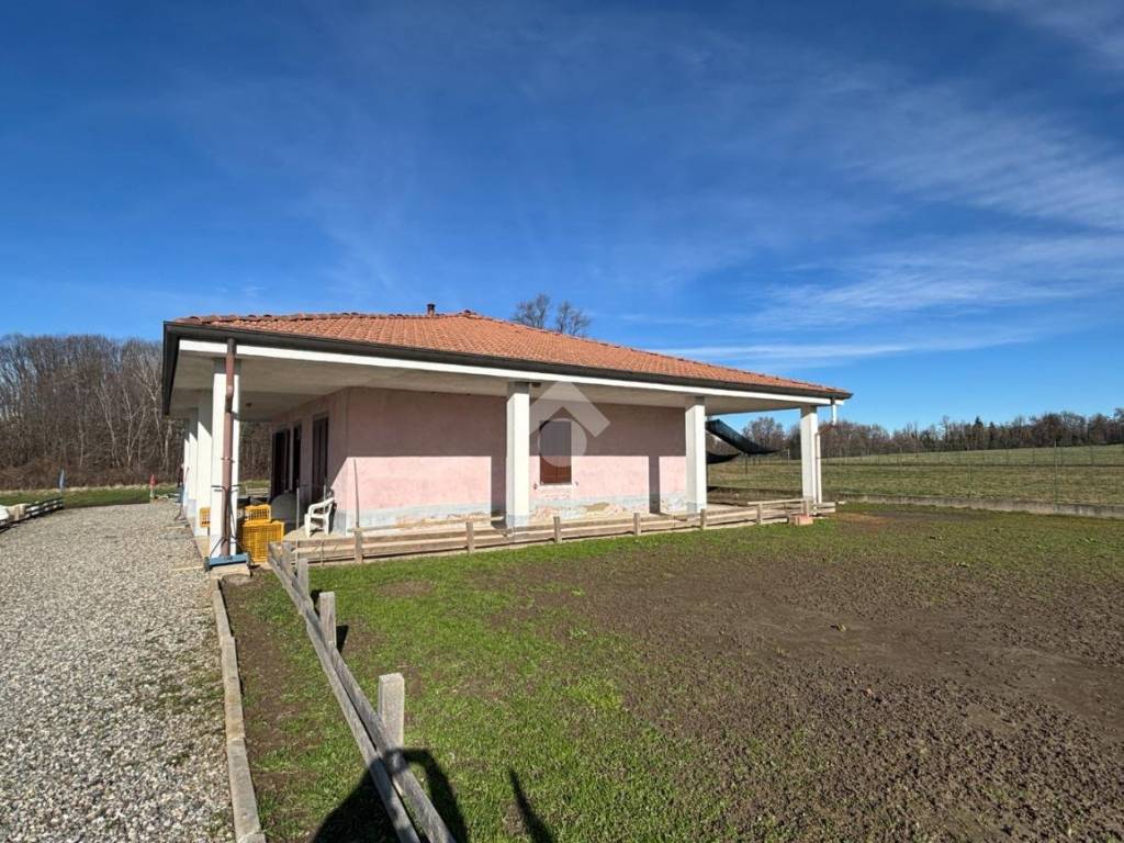 immagine annuncio 4 di 5