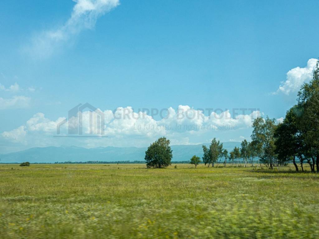 immagine annuncio 1 di 2