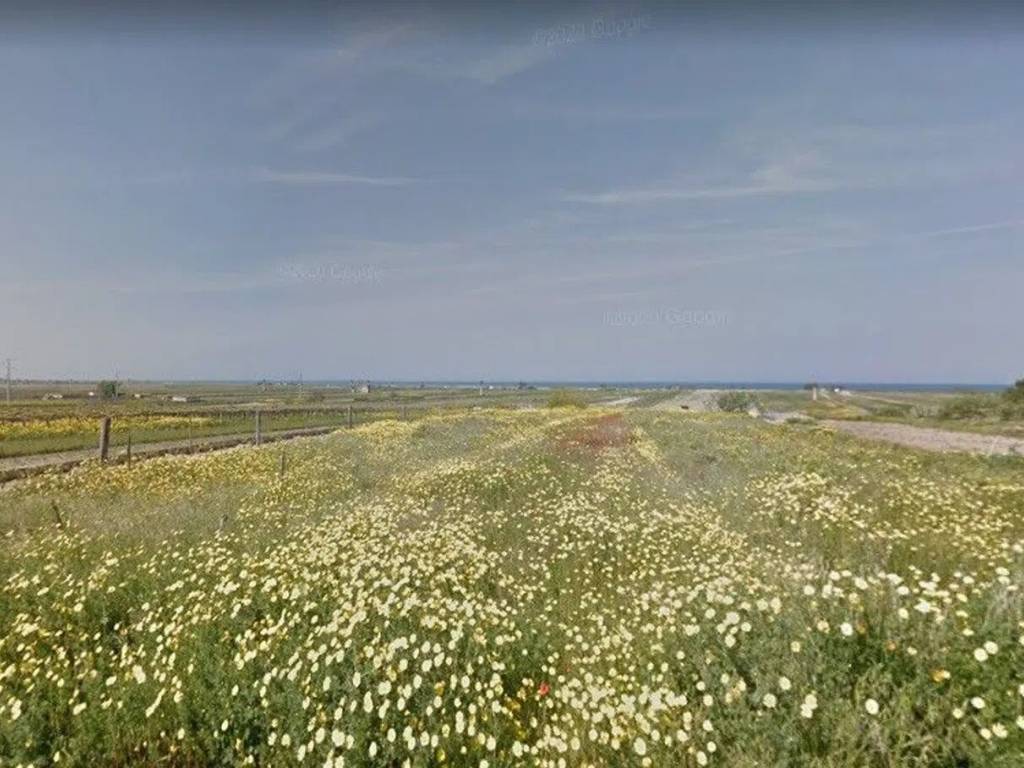 immagine annuncio 2 di 4