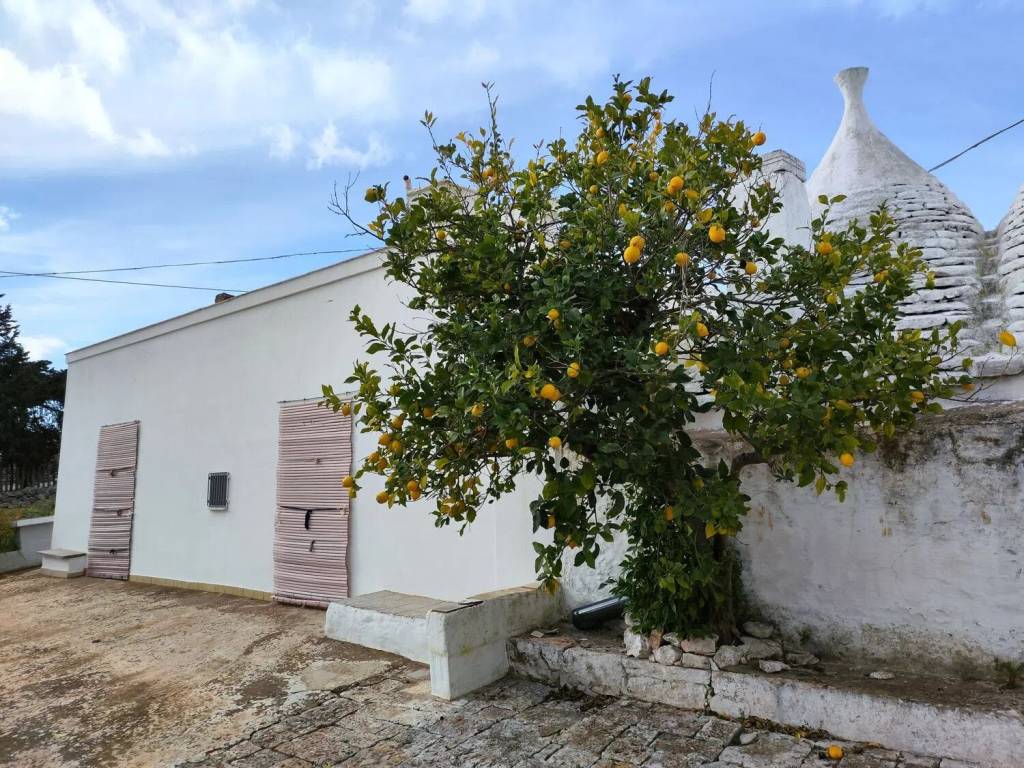 immagine annuncio 4 di 5