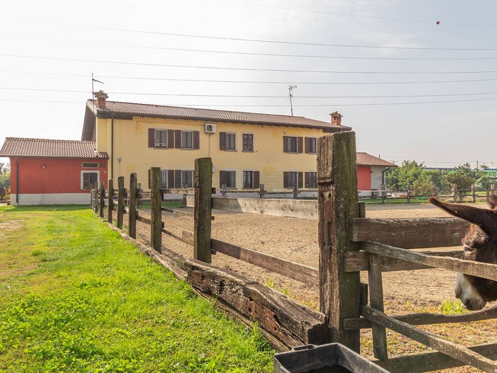 immagine annuncio 4 di 5