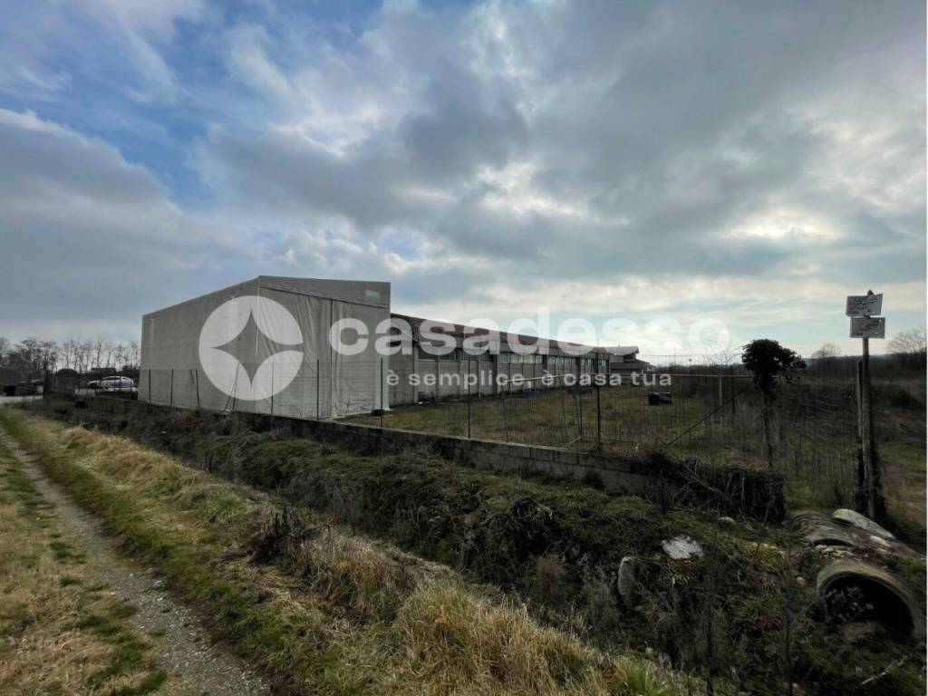 immagine annuncio 3 di 5