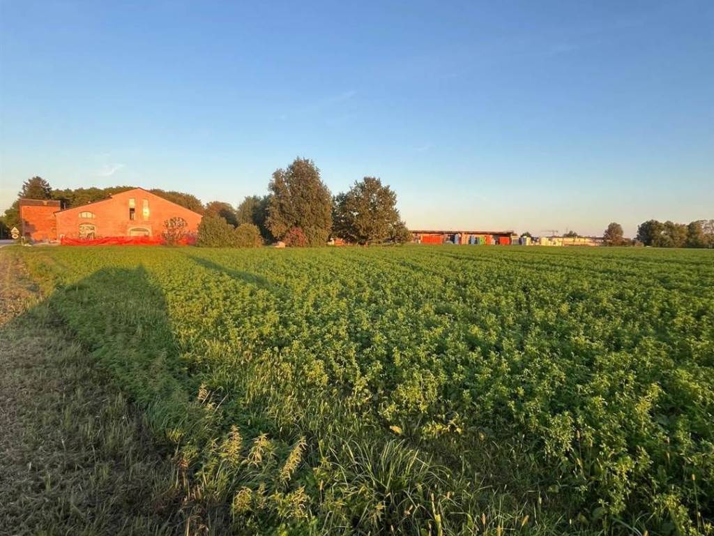 immagine annuncio 2 di 4