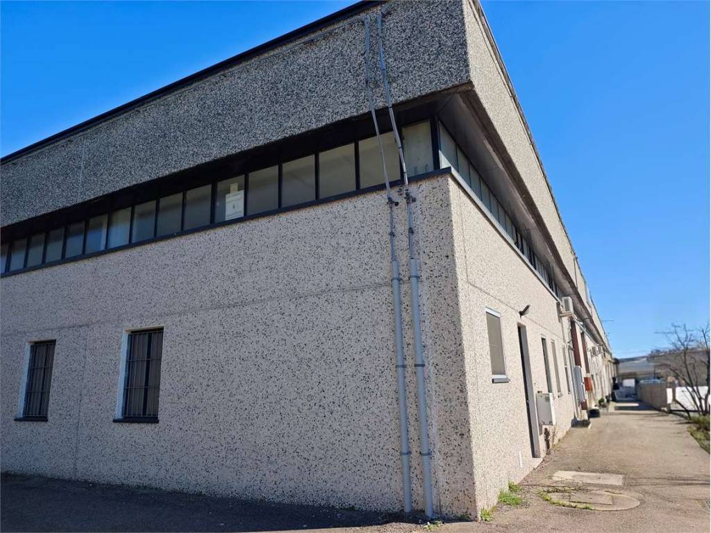 immagine annuncio 2 di 5