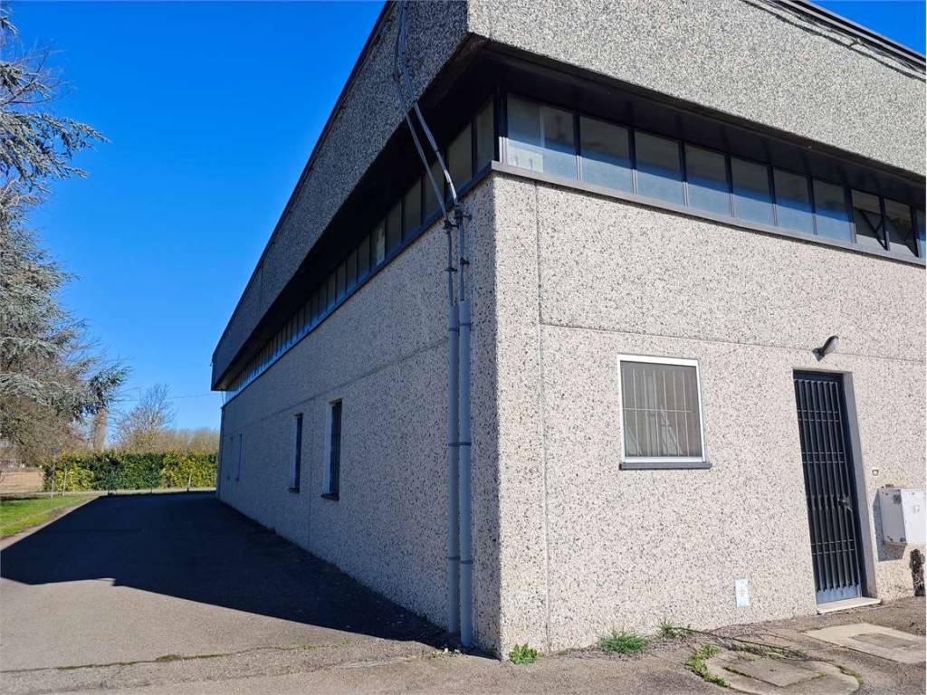 immagine annuncio 4 di 5