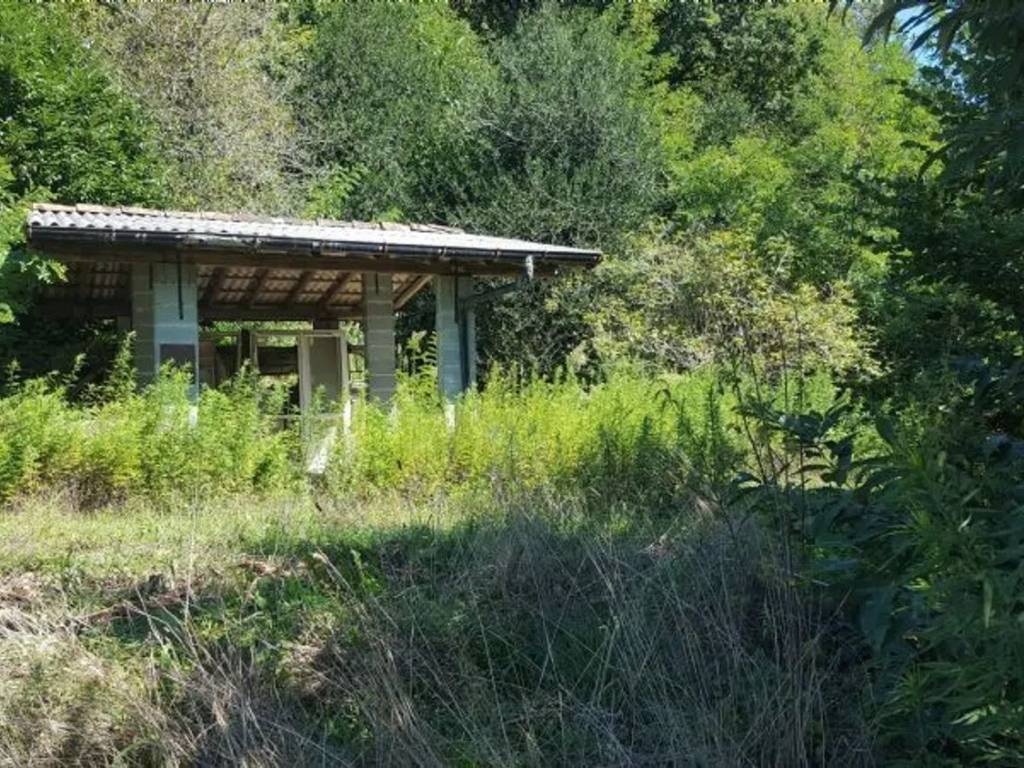 immagine annuncio 1 di 3