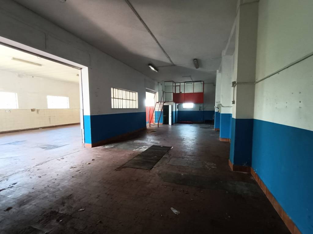 immagine annuncio 4 di 5