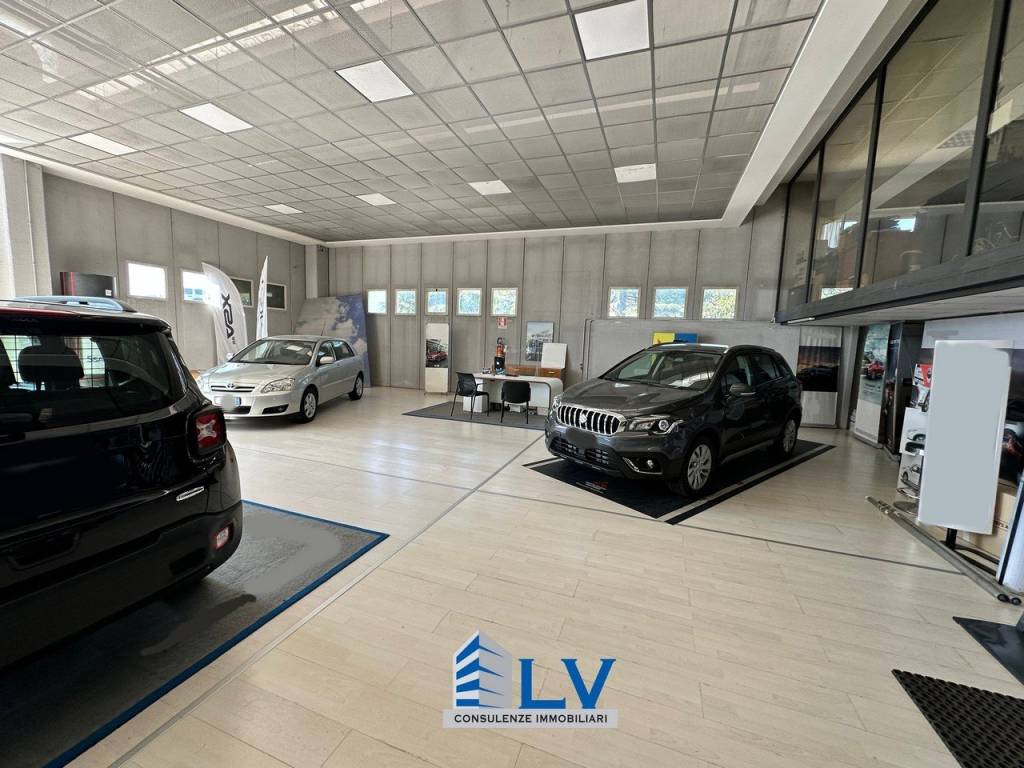 immagine annuncio 1 di 5