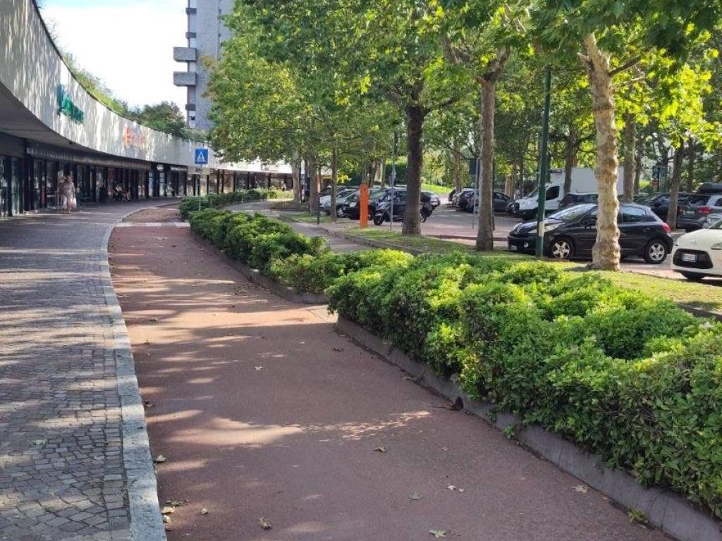 immagine annuncio 2 di 4