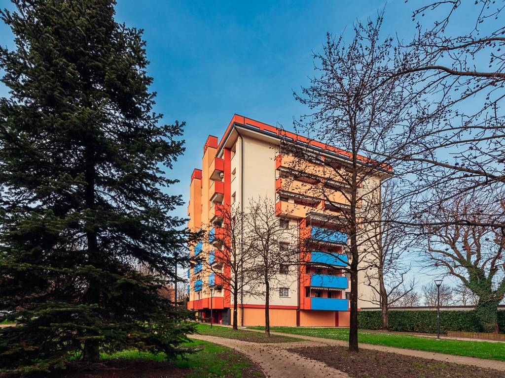 immagine annuncio 2 di 5