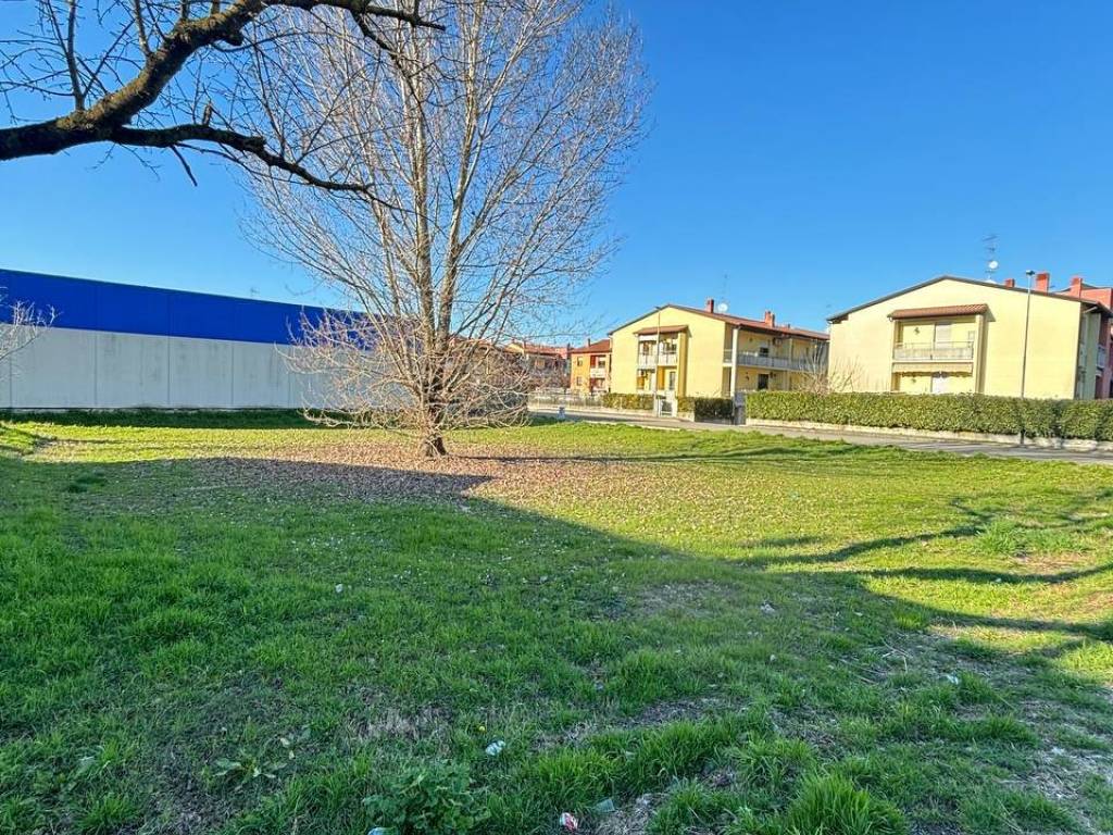 immagine annuncio 3 di 4