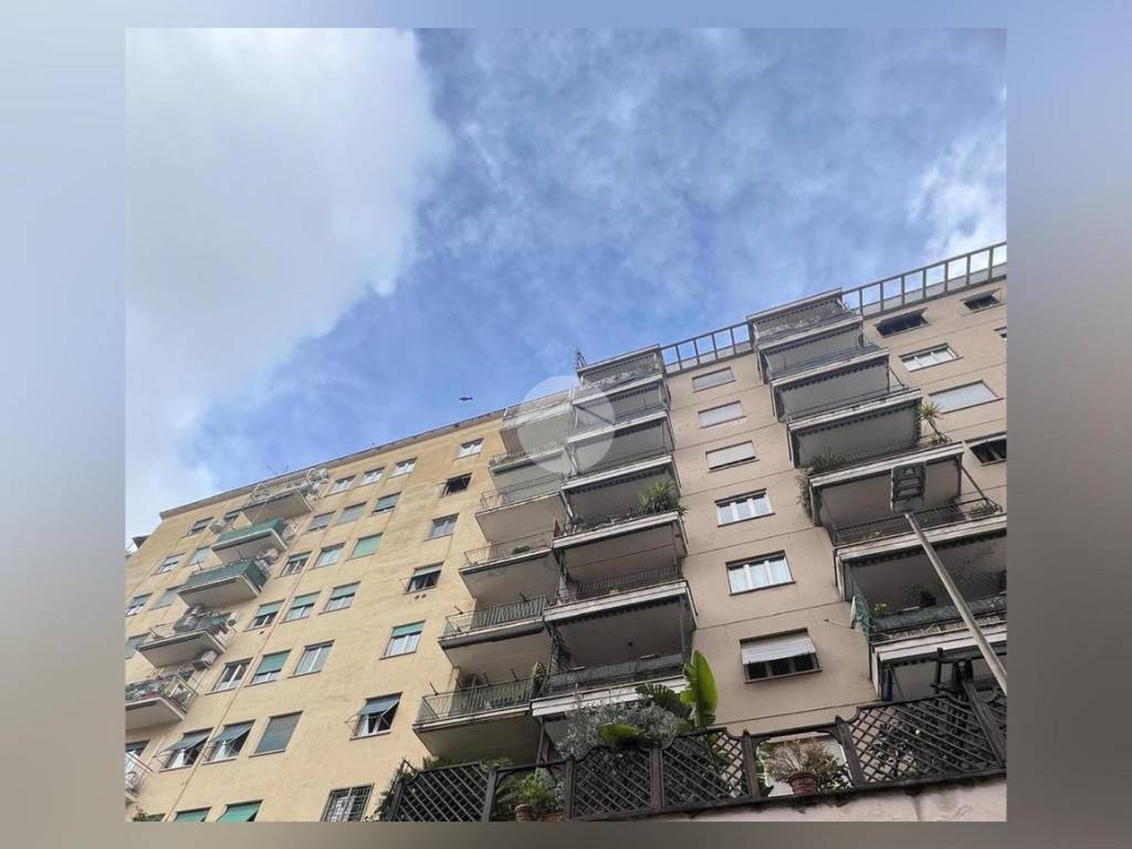 immagine annuncio 3 di 4