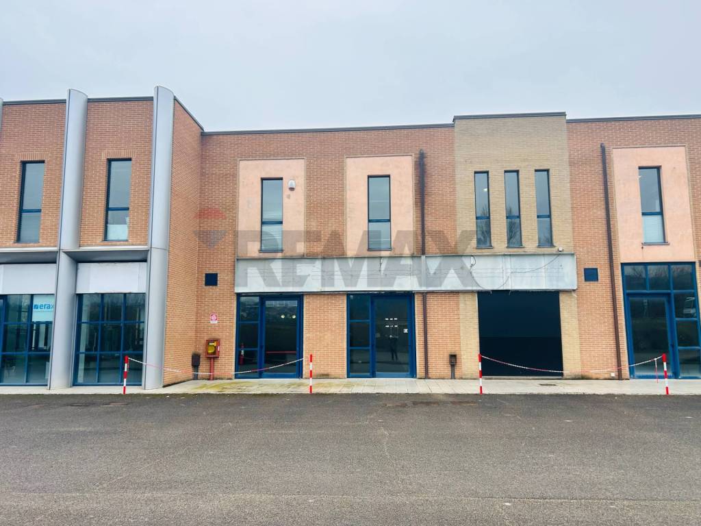 immagine annuncio 2 di 5