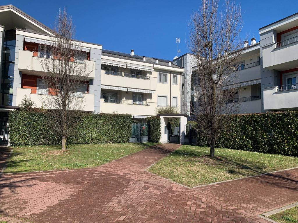 immagine annuncio 2 di 5