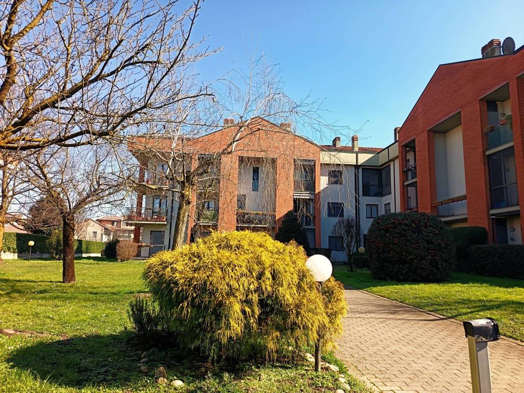 immagine annuncio 2 di 5