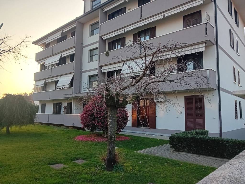 immagine annuncio 1 di 4