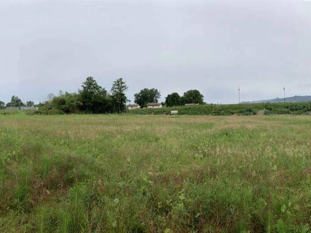 immagine annuncio 1 di 4