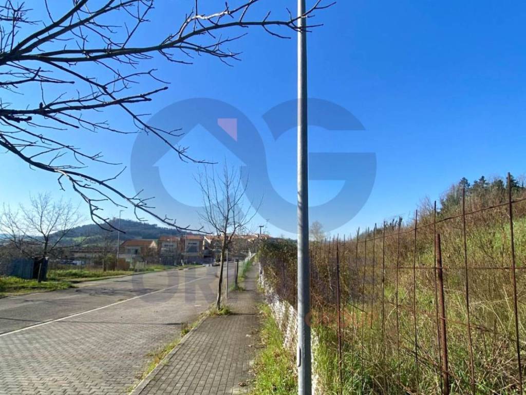 immagine annuncio 3 di 4