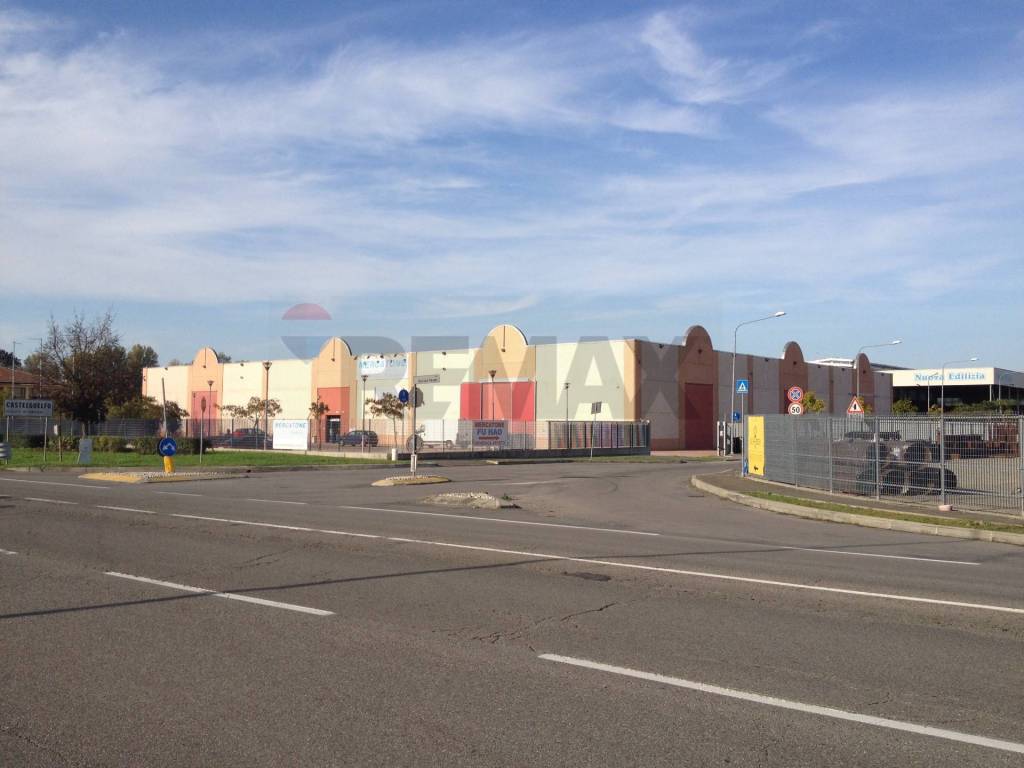 immagine annuncio 2 di 4