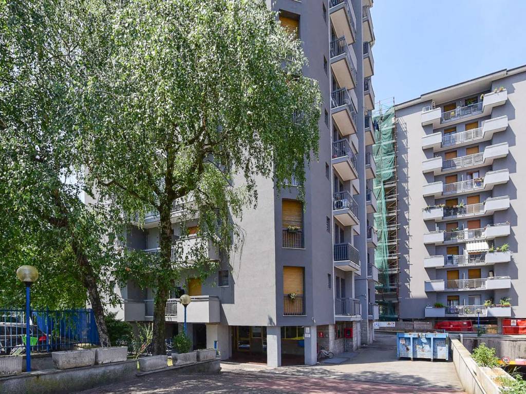 immagine annuncio 2 di 5