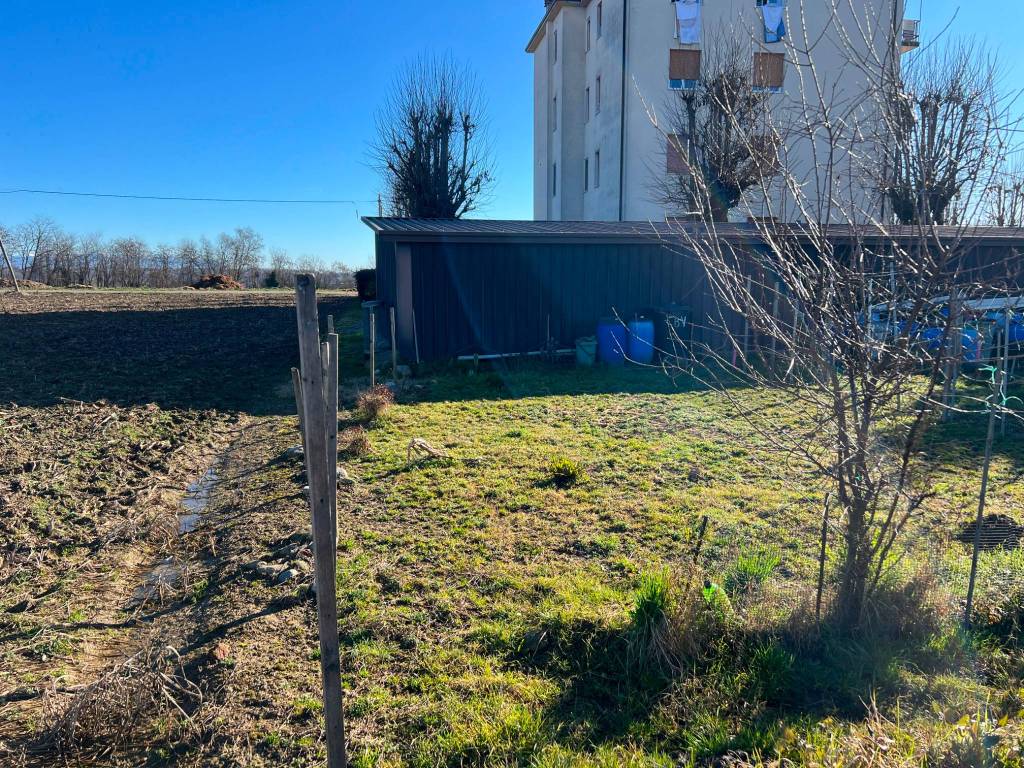 immagine annuncio 2 di 5