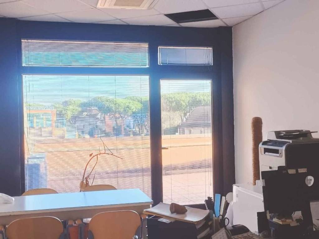 immagine annuncio 2 di 4