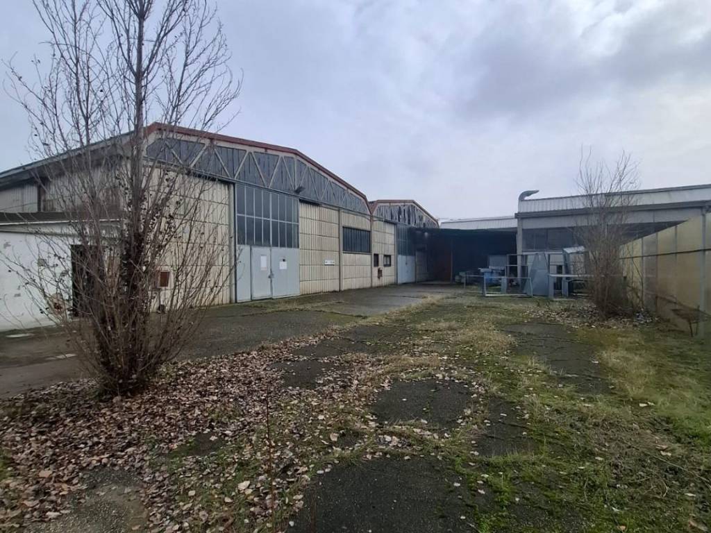 immagine annuncio 2 di 5